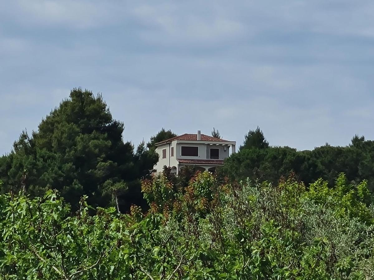 Alghero - House With Panoramic View Immersed In Full Nature Εξωτερικό φωτογραφία
